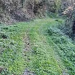 Mala Savca Campsite *