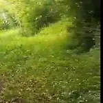 Mala Savca Campsite Loka pri Zidanem Mostu