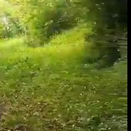 Mala Savca Kemp Loka pri Zidanem Mostu
