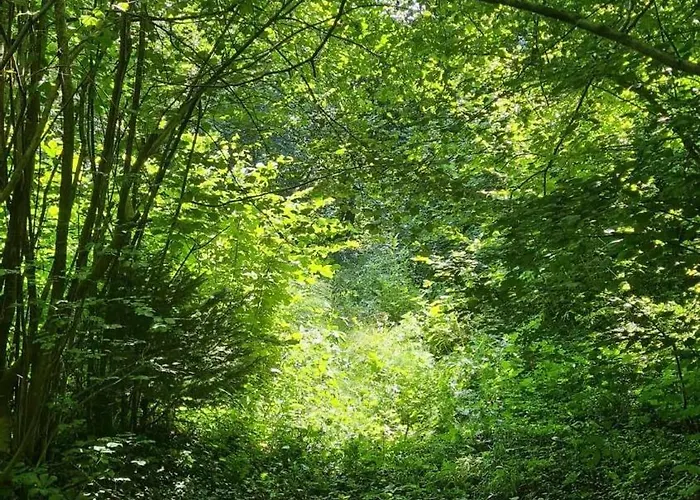 Kamp alanı Mala Savca *