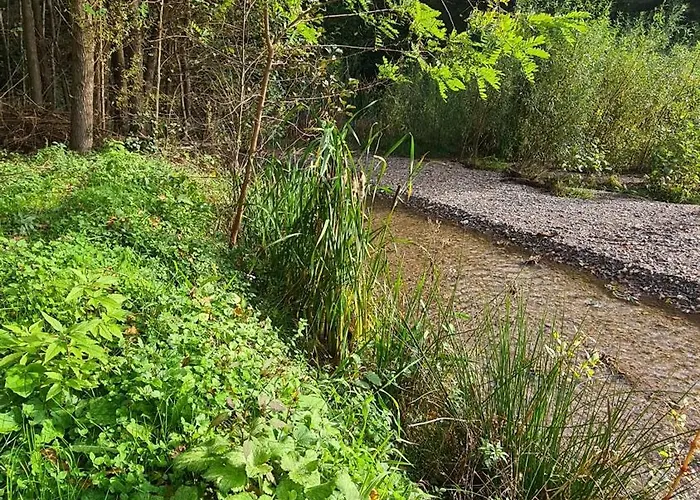 Kamp alanı Mala Savca